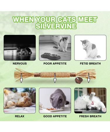 AGYM Cat Silvervine Stick Toy Set - Natural Chew Toys for Cats | Promotes Dental Health, Relaxation, and Digestion | Non-Addictive and Safe | 4 Pack - Buy Online on GoSupps.com