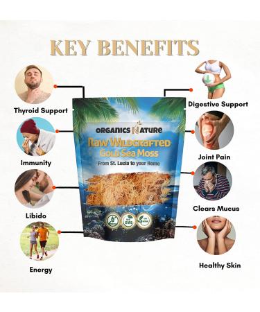 Organics Nature Supplements Organic Irish Sea Moss - Wildcrafted, Non-GMO, Gluten-Free - 4oz - Supports Bones, Joints & Immune System - Makes 5 Jars of Gel - Buy Online on GoSupps.com