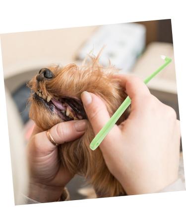 Levemolo 1pc Pet Single Head Toothbrush Brush Teeth Care Brush Dog Toothpaste Plastic - Buy Online on GoSupps.com