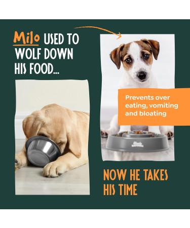 Slow Feeder Dog Bowl Large 21cm Dog Food Bowl Anti-Gulp Anti-Overeating Dog and Cat Slow Feeder Bowl Dog Bowls to Slow Down Eating Puppy Slow Feeding Dog Bowl Maze Bowl - Buy Online on GoSupps.com
