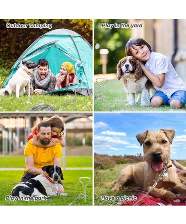 16ft Dog Tie Out Cable with Spiral Ground Stake - Up to 120lb Dogs - Perfect for Playing, Camping, and Backyard - White - Buy Online on GoSupps.com