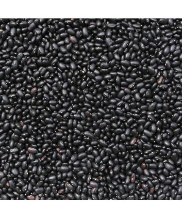 Organic Black Turtle Beans 3kg - Wholefood Earth | GMO Free, Vegan, High Fibre & Protein | Certified Organic - Buy Online on GoSupps.com