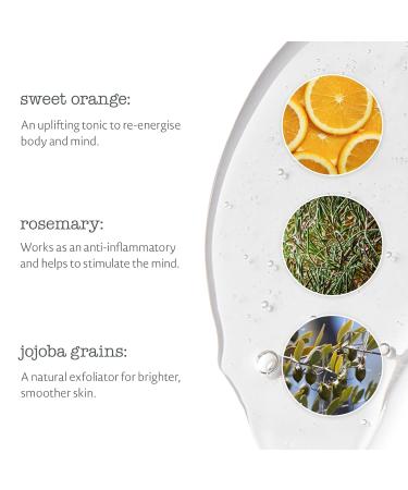 Elemental Herbology Sweet Orange & Rosemary Exfoliating Hand & Body Wash - 9.8 Fl Oz | Zesty Shower Gel & Hand Wash | Energizing Essential Oils | Cruelty-Free - Buy Online on GoSupps.com