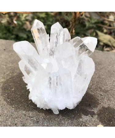 Natural Crystal Rough 1 Piece Natural Crystal Clear Quartz Cluster Free Form Stone Suitable for Furniture Decoration (Size : 300-400g) - Buy Online on GoSupps.com