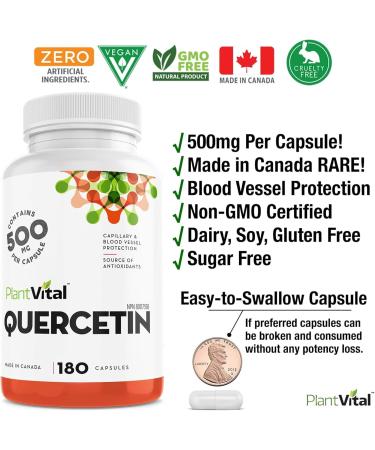 NEW! PlantVital Quercetin 500mg (180 Vegan Caps) Antioxidants helps neutralize free radicals. Blood vessel protection. Used to provide seasonal allergy relief. Made in Canada. Vegan. 180 count (Pack of 1) - Buy Online on GoSupps.com