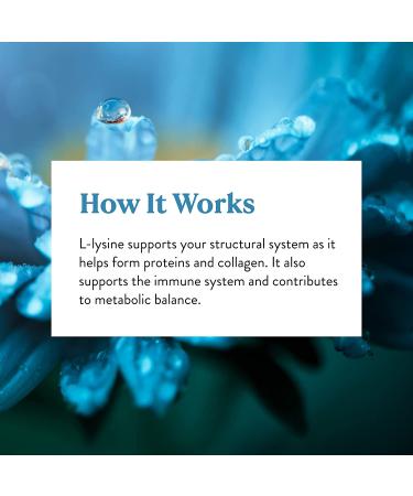 Nature's Sunshine L-Lysine 100 Capsules - Immune Support and Cold Sore Relief - Buy Online on GoSupps.com