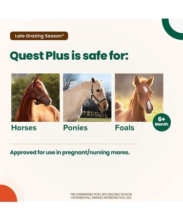 Quest Plus Gel Horse Dewormer for Horses and Ponies 6 Months+, 0.5oz Syringe - Moxidectin/Praziquantel Formula for Late Grazing Season - Buy Online on GoSupps.com