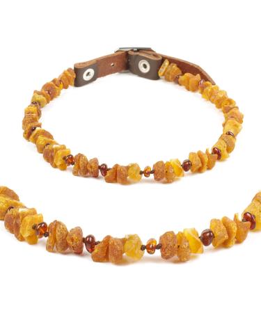 Baltic Secret Amber Necklace for Dogs & Cats - Natural Tick & Flea Protection | 24-26 cm - Buy Online on GoSupps.com