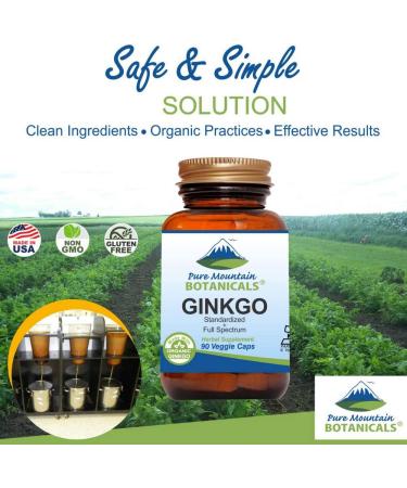 Kosher Vegan Ginkgo Biloba Capsules - 400mg Leaf & Extract | Natural Memory & Focus Support - Buy Online on GoSupps.com