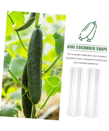 Parliky 3pcs Vegetable Shaping Mold Flower Shape Strawberry As Shown 20x6cm - Buy Online on GoSupps.com