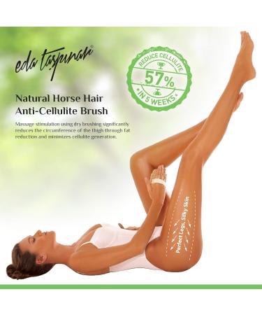 EDA Tasepin Dry Brush Set - Natural Horsehair Anti-Cellulite Body Peeling | Perfect Legs & Fit Body | Improve Lymph Function & Softer Skin - 2 Brushes in 1 Pack - Buy Online on GoSupps.com
