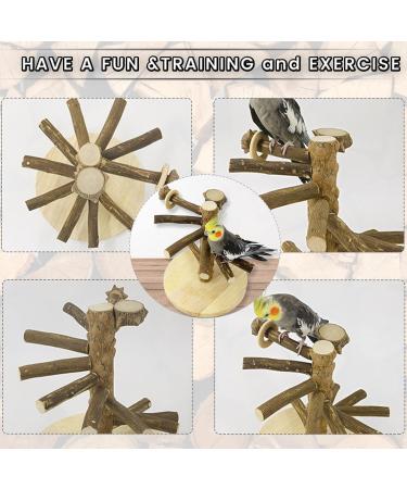 WishesMar Budgie Playground for Cockatiels & Parrots - 24.5x22x22 cm Wooden Bird Playset - International Shipping - Buy Online on GoSupps.com