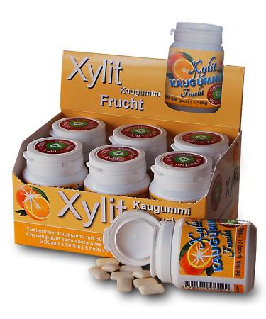 Xylitquelle dental care chewing gum fruity |sweetened sugar -free with 100% xylitolWithout aspartame sorbitol & titanium dioxide |Vegan |Preservation of tooth mineralization |(Fruity 480 chewing gum (6 -pack)) fruity 480 pieces (1 Pack)