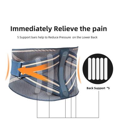 Breathable Back Brace Ergonomic Back Support Belt Relief for Herniated Disc Sciatica Scoliosis Lumbar Brace Waist Support for Men and Women Lower Back Pain /1111 (Color : Grey Size : M) - Buy Online on GoSupps.com