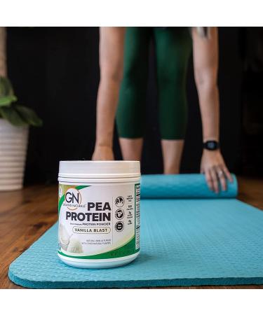 Vanilla Gold Standard Raw Pea Protein Powder - Non-GMO, Vegan, Gluten-Free, Keto - 1 lb - Buy Online on GoSupps.com