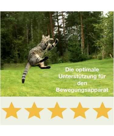 Felimove Motion 3 SPAR-PACKET - Glucosamine & Herbal Support for Cats | Veterinary Supplement for Mobility Issues | Shipping Worldwide - Buy Online on GoSupps.com