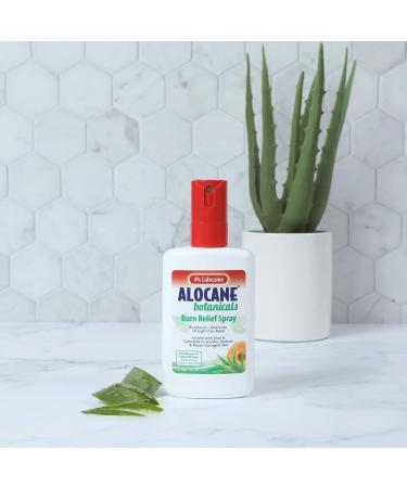Alocane Botanicals Burn Care Relief Spray - Fast Healing & Soothing Relief - 4.0 Fl Oz - International Shipping Available - Buy Online on GoSupps.com
