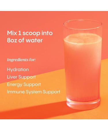 Hydralyte Liver Support + Electrolyte Mix with Milk Thistle Turmeric Ginger Prickly Pear Green Tea Extract Formulated for Rapid Rehydration (Blood Orange Ginger 40 Serve Tub) - Buy Online on GoSupps.com