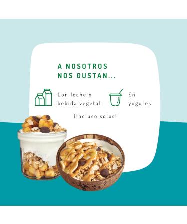 GRANOLA CONE CHOCOLATE Y COCONUT SIN GLUTEN ORGANIC 350 GR - Buy Online on GoSupps.com