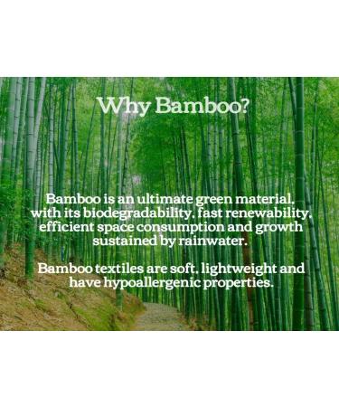 CannyMum Bamboo Nappy Liners & Dry Wipes - 200 Large Sheets, Chemical-Free, Biodegradable & Compostable - 200 Count Pack - Buy Online on GoSupps.com