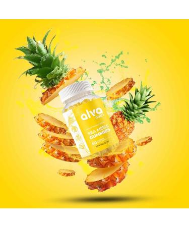 Sea Moss Gummies Enrich with Bladderwrack & Burdock Root Powerful Anitoxidant Supplement from Natural Source of Iodine Support Thyroid and Degestive Health- Non GMO Vegan Glutan Free 60 Count - Buy Online on GoSupps.com