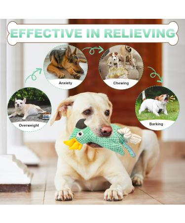 Rosaui Dog Toys | Plush Squeaky Crepe Paper Toys for Puppies & Dogs | Tooth Cleaning & Boredom Relief - Buy Online on GoSupps.com