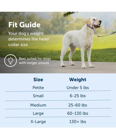 Petsafe Gentle Leader Dog Halter - Ultimate Solution for Pulling Dogs Easy Walks & Control Size L - Large Gray Anthracite - Buy Online on GoSupps.com