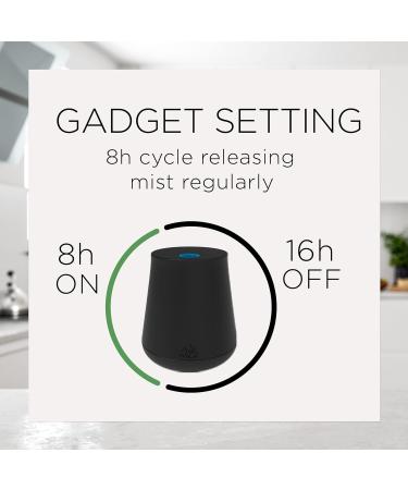 Air Wick Essential Mist Refill - Hibiscus & Blooming Orchids 2ct | Premium Essential Oils Diffuser & Air Freshener - Buy Online on GoSupps.com