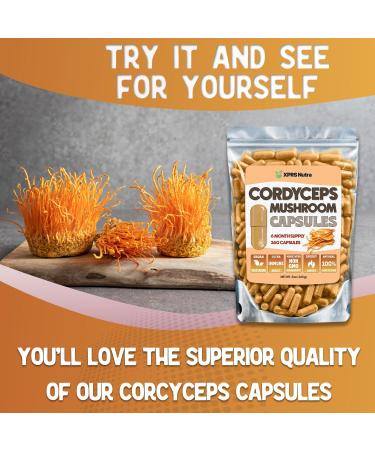 XPRS Nutra Cordyceps Mushroom Powder Capsules - 360 Count (180 Day Supply) - Our Premium Cordyceps Mushroom Capsules Contain Real Mushrooms (Cordyceps) to Support Stamina and Performance - Buy Online on GoSupps.com