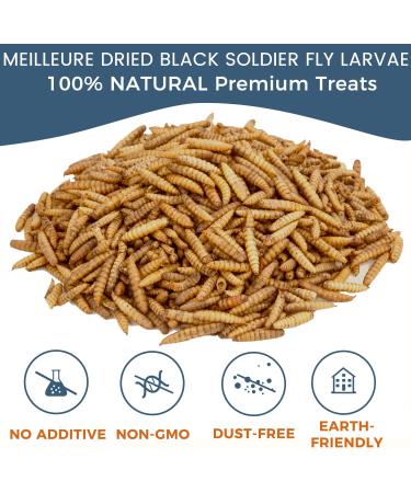 MEILLEURE Dried Black Soldier Fly Larvae for Chickens - 5 LBS | Non-GMO & 100% Natural Chicken Treat - High in Calcium for Hens, Lizard, Ducks, and More - Buy Online on GoSupps.com