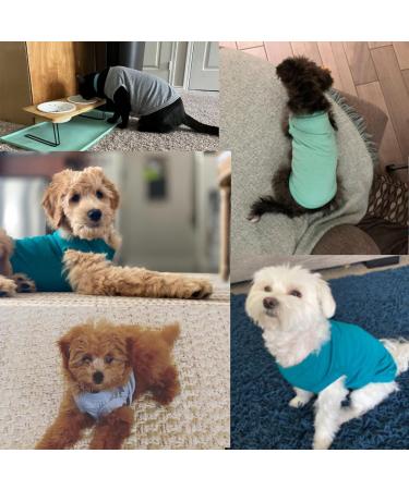 Yaodhaod Cotton Dog Clothing - Soft Breathable T-Shirts for Small & Medium Dogs | Sun Protection | Available in Black & Gray - Buy Online on GoSupps.com