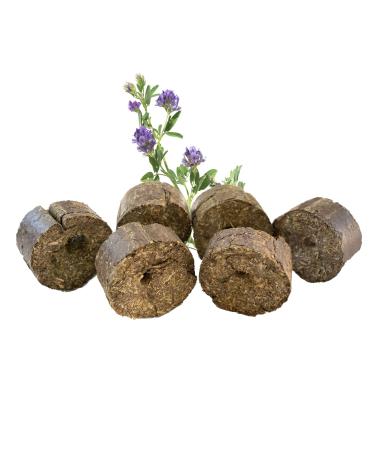 Lax meadow products Lucerne blocks with horses for horses I refill pack for jumping ropes I Healthy roughage snacks from 100% lucerne i supplementary feed i horse mecker -free i 3kg 3 kg (refill pack)