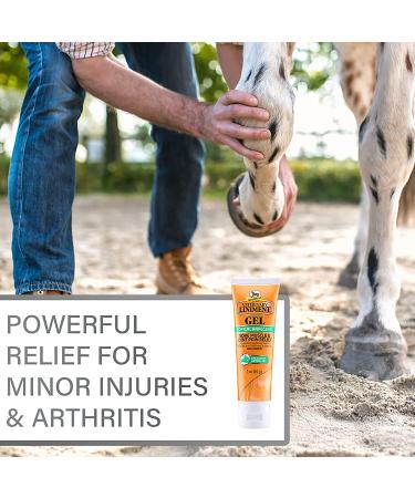 Absorbine Veterinary Liniment Gel - Menthol Pain Relief for Sore Muscles, Joints & Arthritis - Buy Online on GoSupps.com
