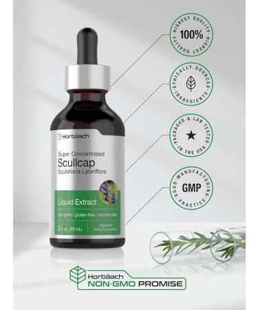 Horb ach Scullcap Herb Liquid Extract | 2 fl oz Tincture | Super Concentrated | Alcohol Free Vegetarian Non-GMO Gluten Free Skullcap Supplement - Buy Online on GoSupps.com