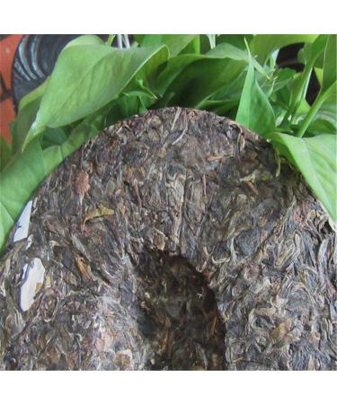 HELLOYOUNG 357g de th Pu'er cru du Yunnan chinois th vert artisanal traditionnel biologique au go t onctueux - Buy Online on GoSupps.com
