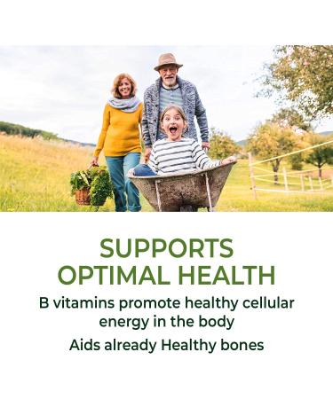 Buy MegaFood Men Over 55 One Daily - 60 Tablets | Premium Daily Multivitamin for Men's Health - Buy Online on GoSupps.com