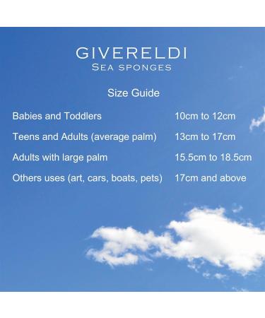 Extra Large Unbleached Natural Sea Sponge - 100% Organic & Hypoallergenic - Bath, Shower, Cleansing, Exfoliating - for Children, Adults, Art & Pets - 17 cm - Buy Online on GoSupps.com