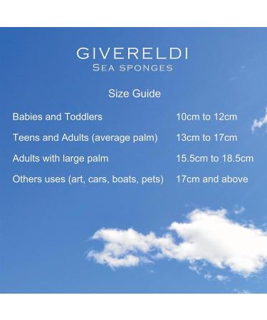 Unbleached Honeycomb Natural Sea Sponge - 100% Natural, Strong, Durable, Hypoallergenic - Bath, Shower, Cleansing, Exfoliating - for Children and Adults - Art, Pets, Gift - 5 to 6 - Buy Online on GoSupps.com