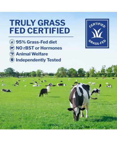 Opportuniteas Grass Fed Whey Protein Powder Concentrate - 1 Ingredient - Pure Protein Supplement for Drink Smoothie Shake Cooking & Baking - Non GMO Hormone Free & Gluten Free - 1 Pound Unflavored 1 Pound (Pack of 1) - Buy Online on GoSupps.com