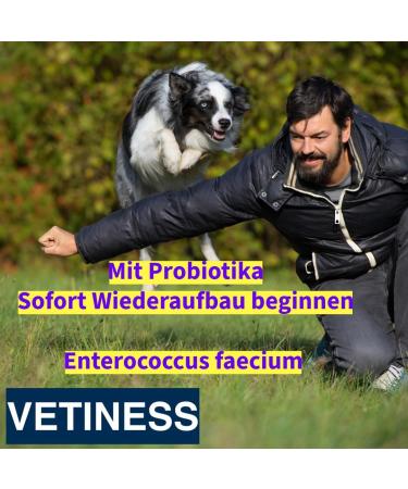 Vetiness Diarrhea Paste 15ml for Dogs & Cats | Acute Diarrhea Relief | Probiotics for Dogs & Cats under 15kg | Supports Diarrhea & Vomiting - Buy Online on GoSupps.com