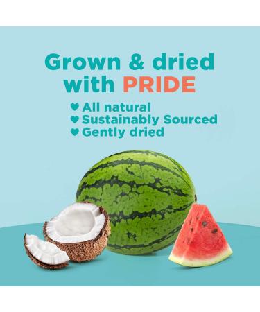 RIND Snacks Coco-Melon Dried Fruit Superfood 2.75oz 3 Pack - Organic Coconut Watermelon, High Fiber, Vegan, Paleo, Non-GMO - Buy Online on GoSupps.com