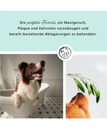 Annimally Dental Spray for Dogs 200ml | Fresh Breath & Tartar Prevention with Peppermint Sage & Propolis - Buy Online on GoSupps.com