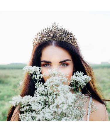 Frcolor Vintage Baroque Crown - Black Alloy Prom Queen Bridal Tiara & Wedding Headpiece | International Shipping Available - Buy Online on GoSupps.com