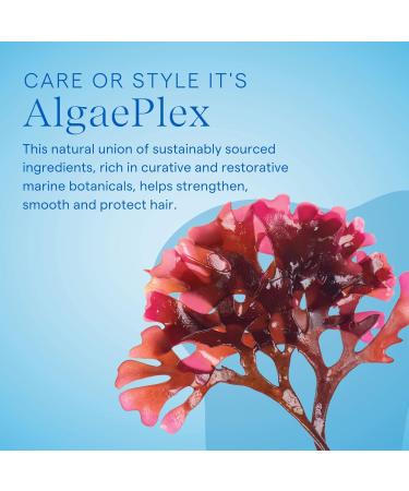 Aquage Thickening Spraygel Firm-Hold Styling Spray with Ultraflex Polymer Technology Thickens & Strengthens Fine Thin Hair That Lacks Body & Vitality Floral - Consciously Crafted 8 Fl Oz (Pack of 1) - Buy Online on GoSupps.com