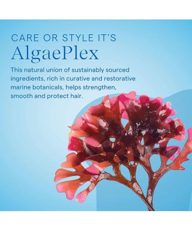 AQUAGE Color Protecting Conditioner 33.8 oz - Deep Moisturizing Formula with Sea Botanicals for Vibrant Haircolor & Shine - Buy Online on GoSupps.com