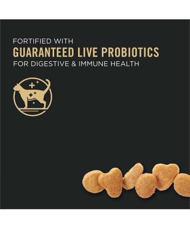 Purina Pro Plan Sensitive Skin & Stomach High Protein Cat Food - Lamb & Rice 7 lb Bag - Buy Online on GoSupps.com