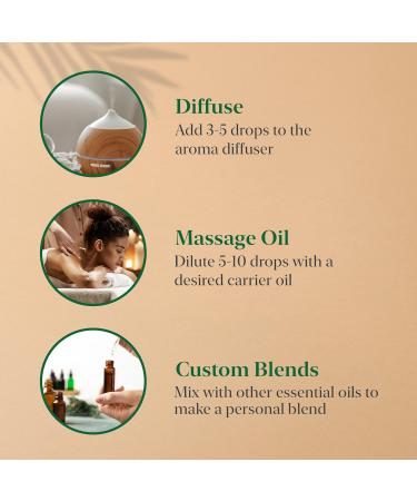 Buy Majestic Pure Essential Oils Set - 100% Pure 6 x 10ml (Peppermint Lavender Eucalyptus Tea Tree Lemongrass) for Diffusers Aromatherapy & Candles - International Shipping Available - Buy Online on GoSupps.com