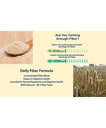 Yerba Prima Daily Fiber Caps - 180 Capsules (Pack of 2) - Soluble & Insoluble Fiber Supplement - Colon Cleanse - Vegan Non-GMO Gluten-Free - Buy Online on GoSupps.com