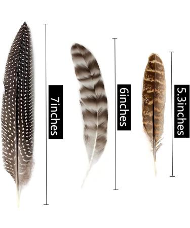 30Pcs Natural Turkey Spotted Feathers for DIY Crafts and Decor - 6-8 inch (3 Styles) - Buy Online on GoSupps.com