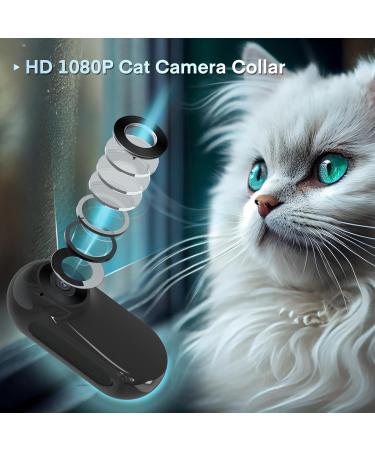 TwoWin Cat Camera Collar HD 1080P - Wireless Dog & Cat Action Camera with 8GB SD Card - Pet Supplies Gift for Cats & Dogs - Buy Online on GoSupps.com